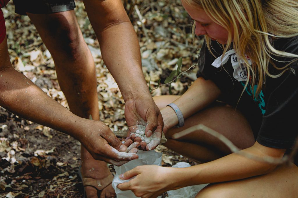 Gallery Thumbnail 12