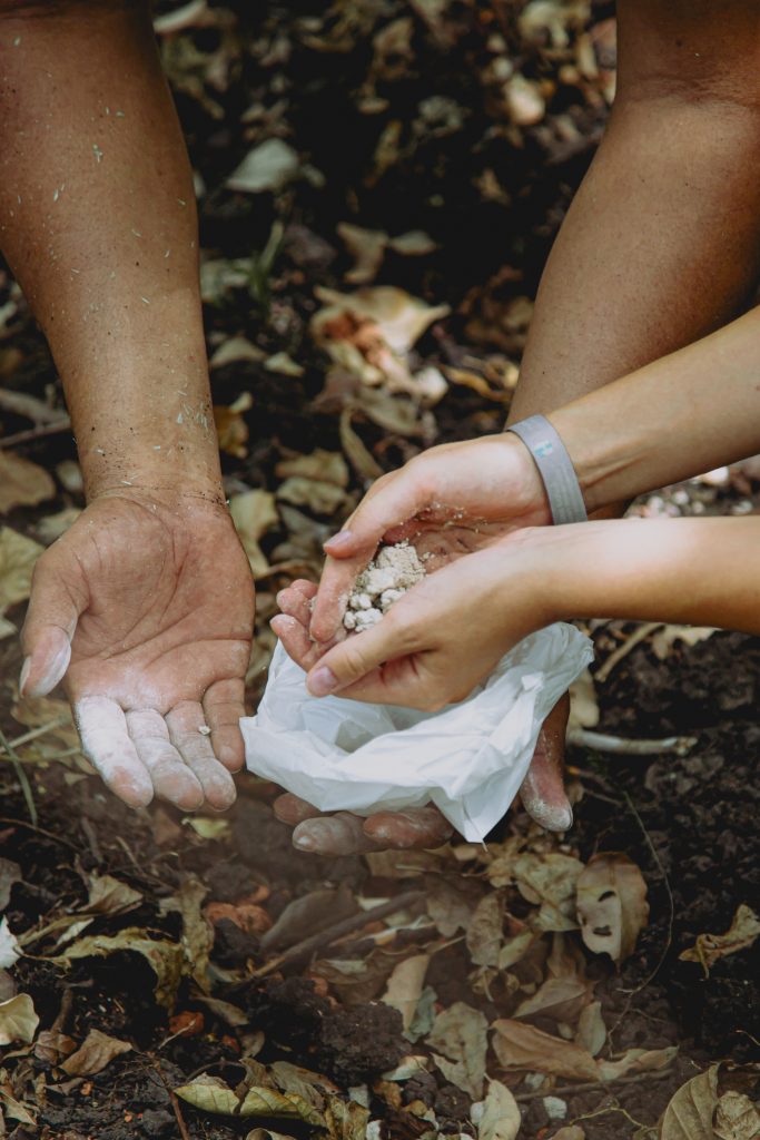 Gallery Thumbnail 13