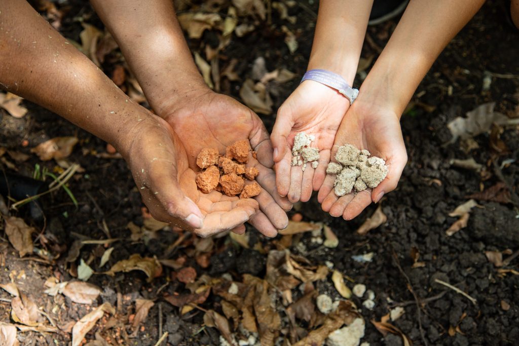 Gallery Thumbnail 15